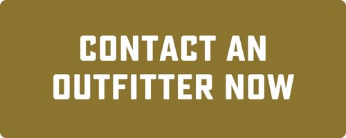 contact an RV outfitter at bish's rv