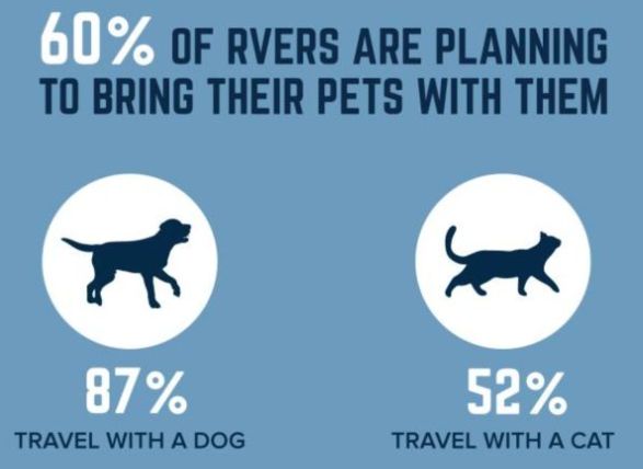 RVers planning to camp with their pets graphic