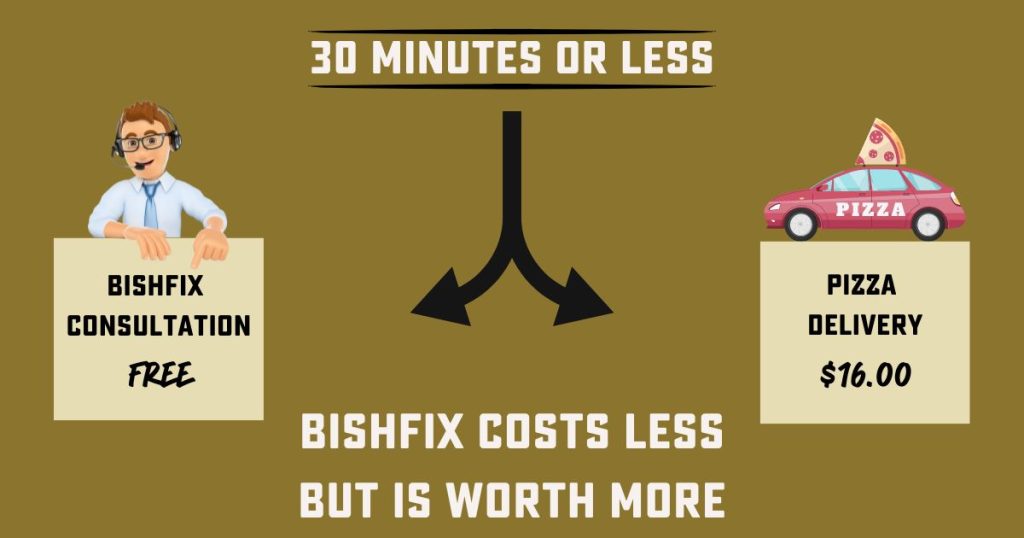 Consultant on left side, Pizza delivery car on the right side. Text "Bishfix costs less but is worth more"