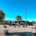 rv parked with palm trees