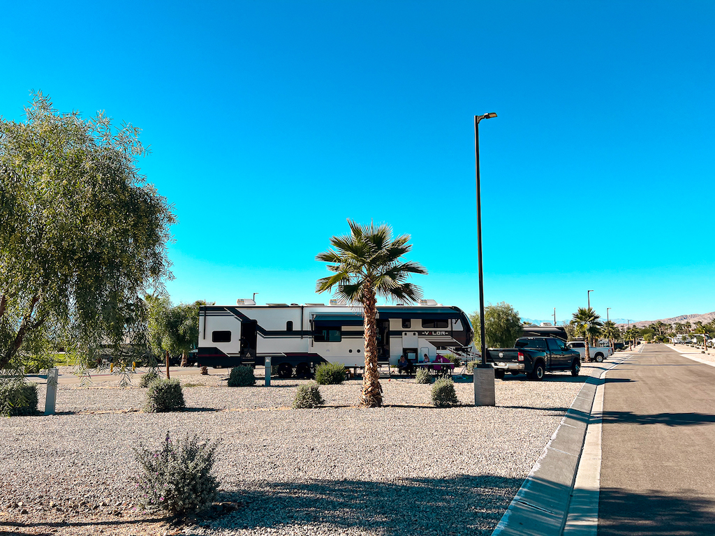 rv parked with palm trees