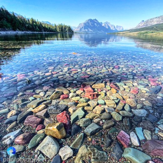 Crystal-clear waters of Lake McDonald in Glacier National Park, revealing colorful pebbles beneath the surface with forested shoreline and towering Rocky Mountain peaks in the background.