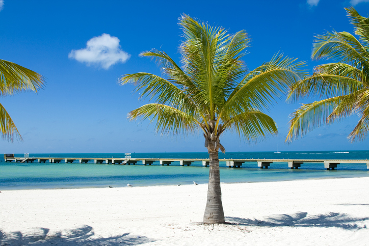 Palm tree on a white sand beach in the Florida Keys, with turquoise ocean waters and a long pier stretching into the clear blue horizon under a sunny sky.