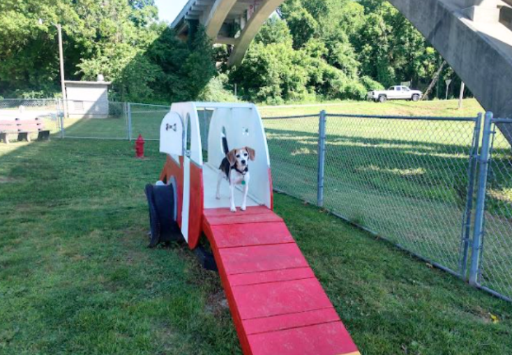 Dog using agility ramp in fenced dog park at pet-friendly RV campground