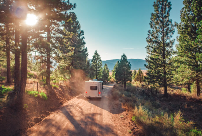 Lightweight travel trailer being towed along a scenic forest road surrounded by towering pine trees, mountain views, and warm morning sunlight. The peaceful backcountry setting captures the freedom of RV travel, showcasing the adventure, easy towability, and off-the-beaten-path exploration that compact travel trailers make possible.